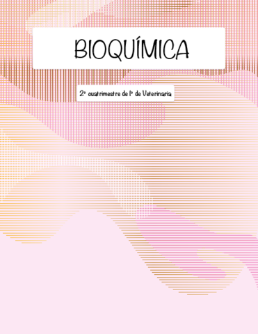 Apuntes Bioquimica Pdf