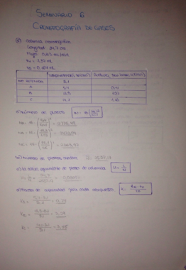 Seminario 6 Resuelto Pdf