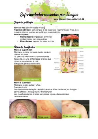 Enfermedades Causadas Por Hongos Pdf