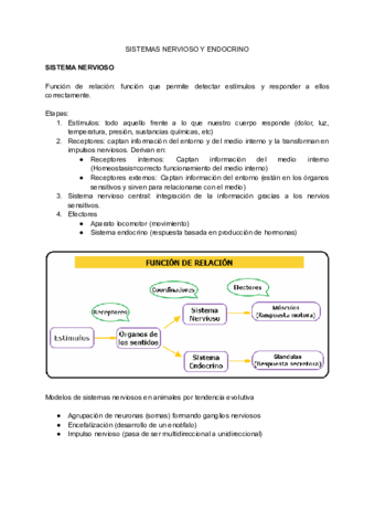 SISTEMAS NERVIOSO Y ENDOCRINO Pdf