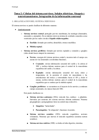 Tema Celulas Del Sistema Nervioso Fisiologia Pdf