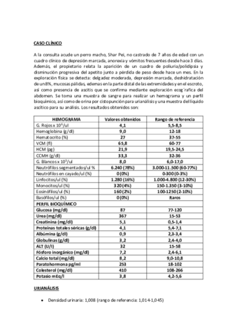 Recopilacion Examenes Pdf