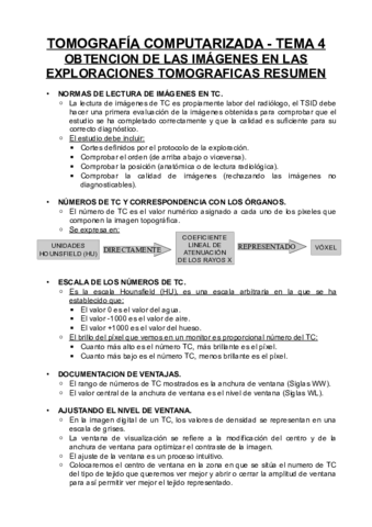 Tema Resumen Pdf