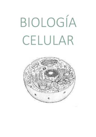 Tema Membrana Plasmatica Pdf