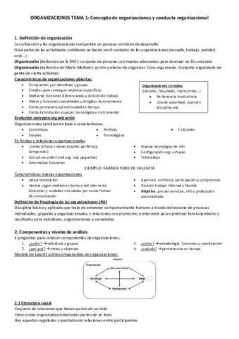 Organizaciones Tema Apuntes Pdf