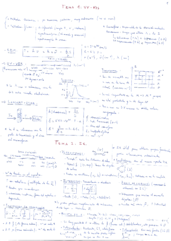 RESUMEN TEMAS 1 6 Pdf