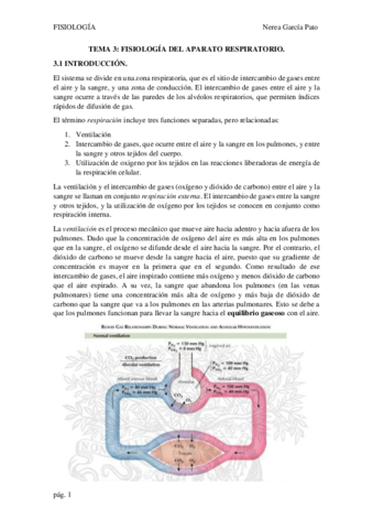 Tema Fisiologia Del Aparato Respiratorio Pdf