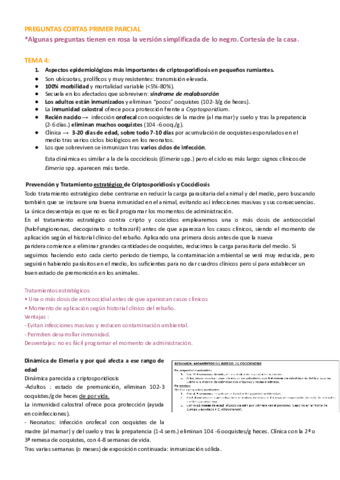 Recopilacion Preguntas Cortas Copia Pdf