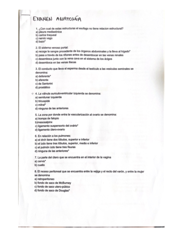 Examen Anatomia Pdf