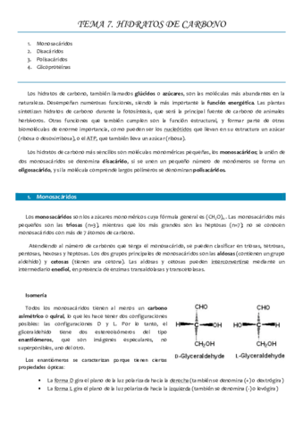 Tema 7 HIDRATOS DE CARBONO Pdf