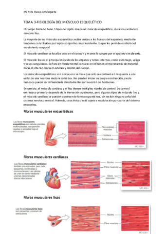 Tema 3 Fisio Pdf