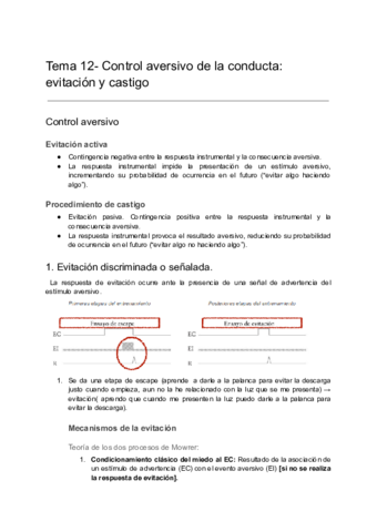 Aprendizaje Y Memoria Tema 12 Pdf