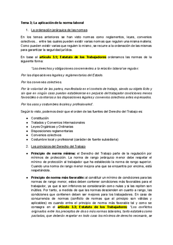 Tema La Aplicacion De La Norma Laboral Pdf