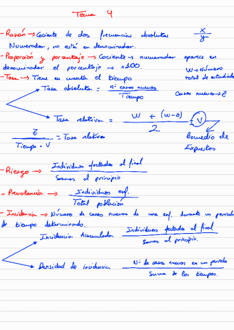 Formulas Por Temas Epi Parcial Pdf