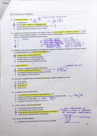 Preguntas Test Pec Razonadas Pdf