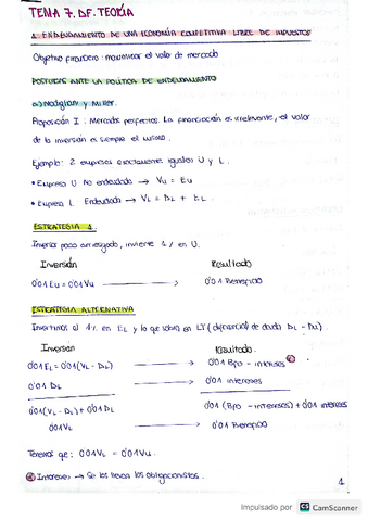 Teoria Tema 7 Direccion Financiera Pdf