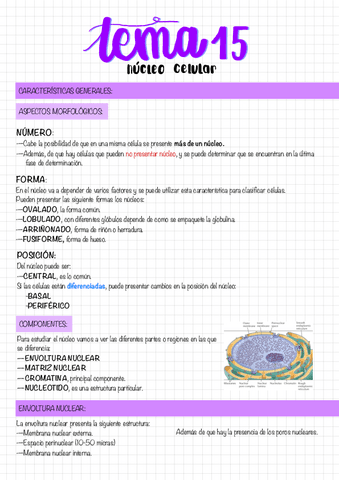 Tema Nucleo Celular Pdf