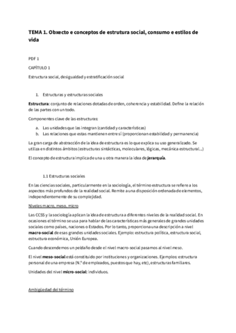 Tema 1 SOCIOLOGIA Docx Pdf