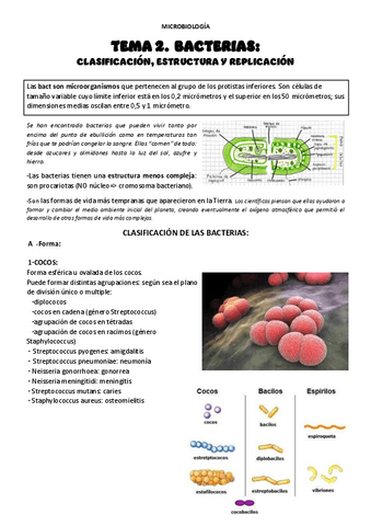 TEMA 2 Bacterias Pdf