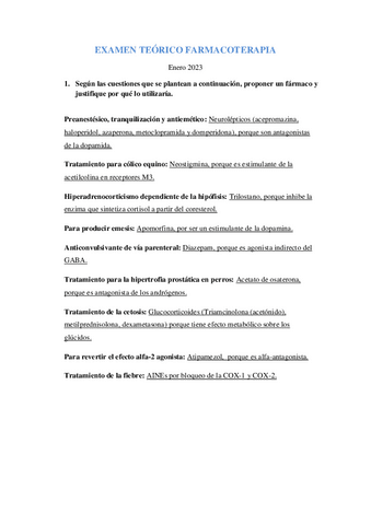 Examen Resuelto Enero 2023 Pdf