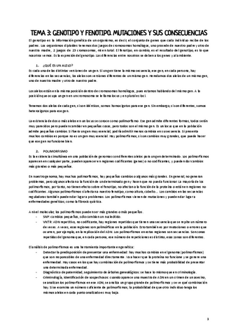 APUNTES SEGUNDO PARCIAL Pdf