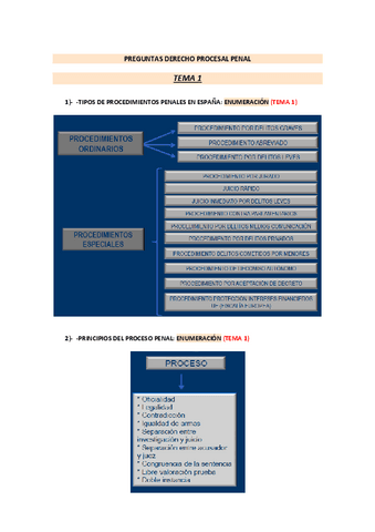 PREGUNTAS EXAMEN DERECHO PROCESAL PENAL Pdf