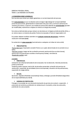 Tema Procesal Pdf