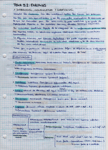 Bioquimica O Parcial Pdf