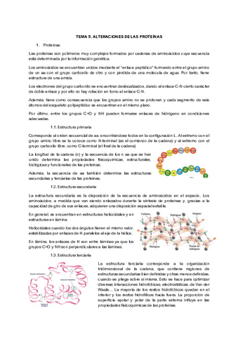 Tema Alteraciones De Las Proteinas Pdf