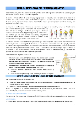 Tema Las Celulas Del Sistema Nervioso Pdf