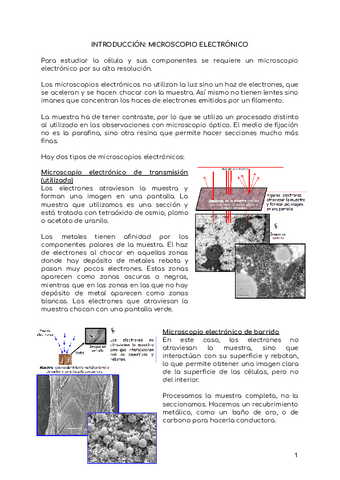 Teor A Primer Parcial Pdf