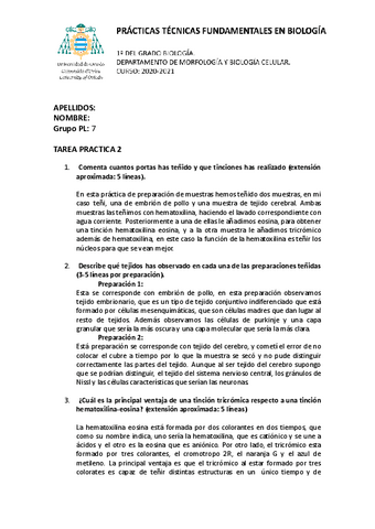 Memoria Practica Docx Pdf