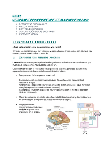 Tema Psicobiologia Apuntes Pdf