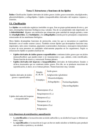 Tema Estruc Y Funci Lipidos Pdf