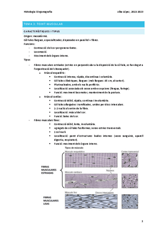 Tema Teixit Muscular Pdf