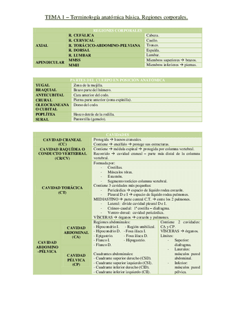 Tema Terminolog A Anat Mica B Sica Regiones Corporales Pdf