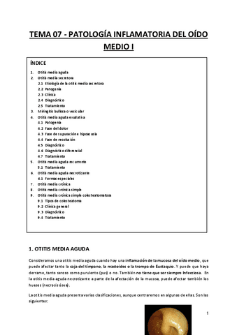 Tema 7 Patologia Inflamatoria Del Oido Medio Pdf