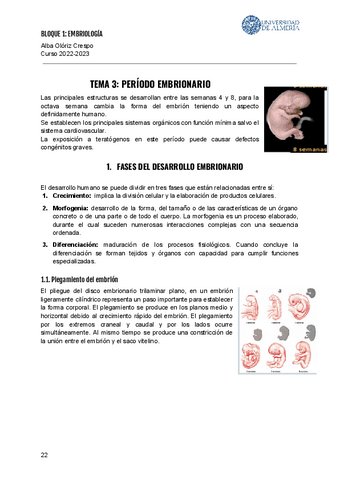 BLOQUE I TEMA 3 Pdf