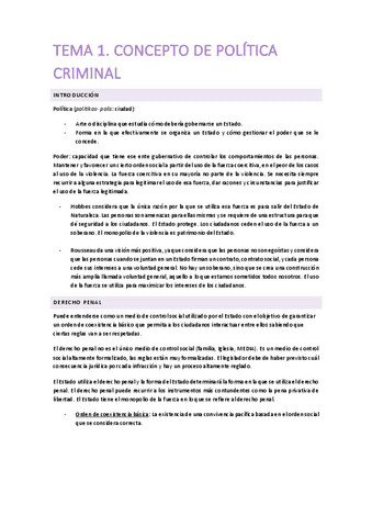 Temario 1r Parcial Politica Criminal Pdf