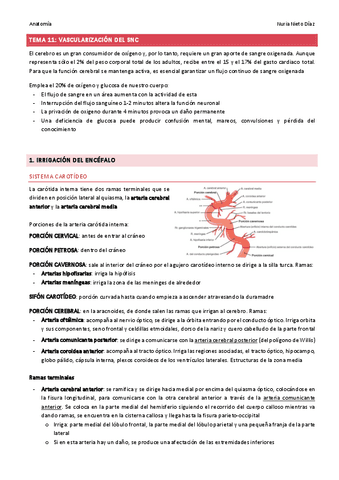 Tema Vascularizaci N Del Snc Pdf