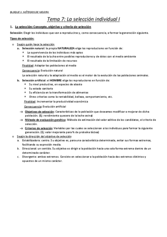 Bloque II GC Metodos De Mejora Pdf