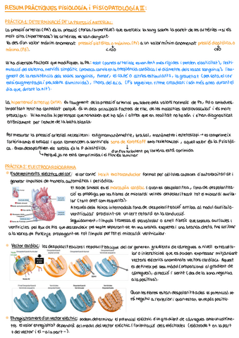 Resum Practiques Pdf