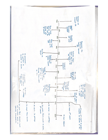 Esquema Trabajo Historia Pdf