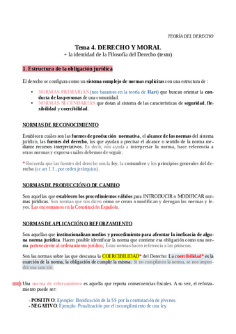 TEMA 4 Teoria Del Derecho Pdf