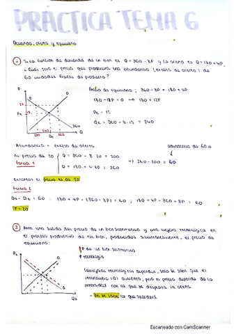 Practica Tema Economia Pdf