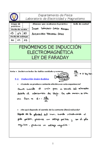 PRACTICA IV FARADAY SIN CORRECCION Pdf