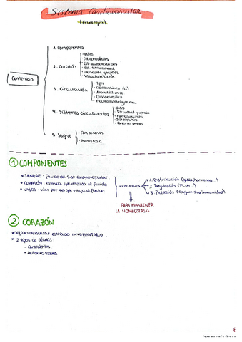 Sist Cardiovascular Fisiologia Pdf