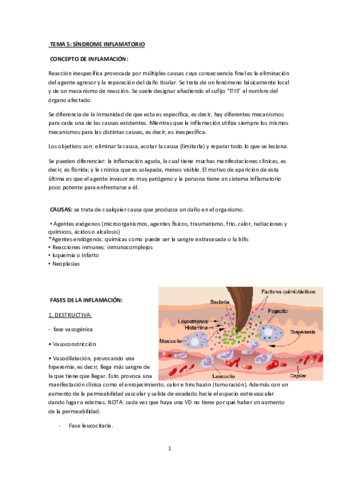 Fisiopatolog A Tema Pdf