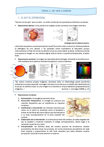 Resuemn De Todos Los Temas Pdf