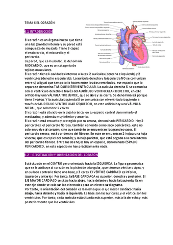 Tema El Corazon Pdf